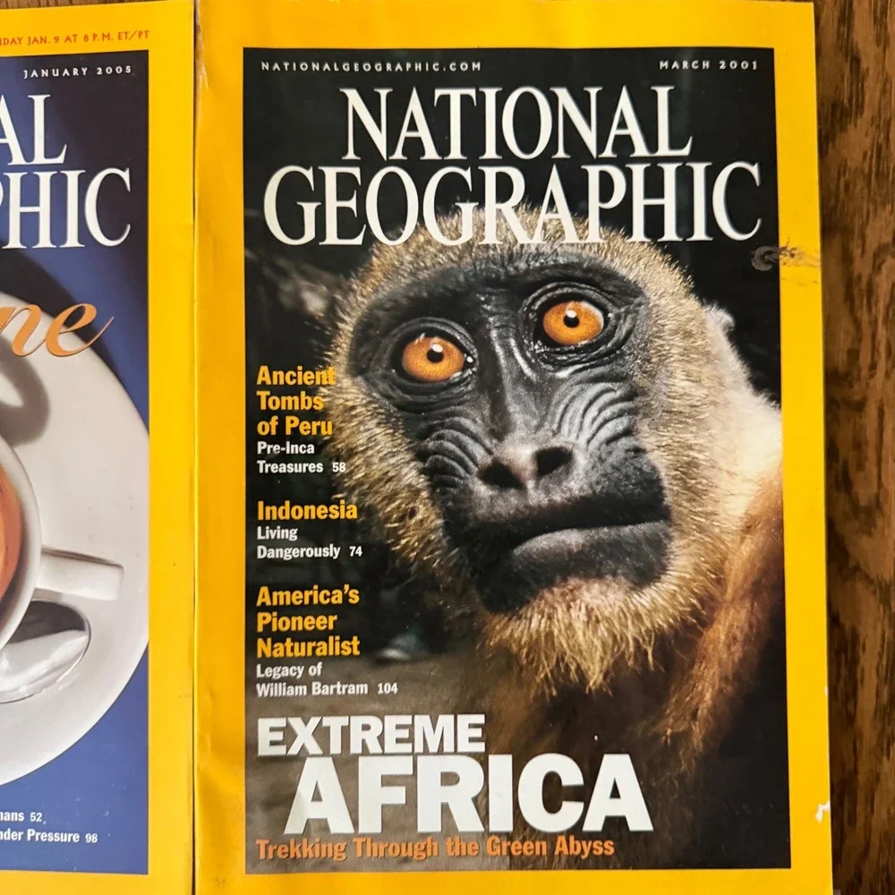 National Geographic Magazine Lot of 6 2001 2004 2005 Hawaii Owl Scarabs Africa